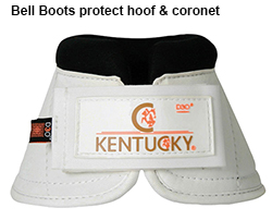 Kentucky Bell Boots