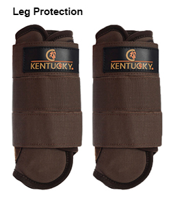 Kentucky Leg Protection