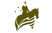 Australian Dessage Champs Logo